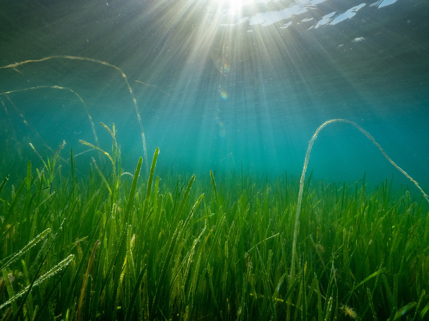 PODCAST: The Power of Tech in Protecting Our Seabeds