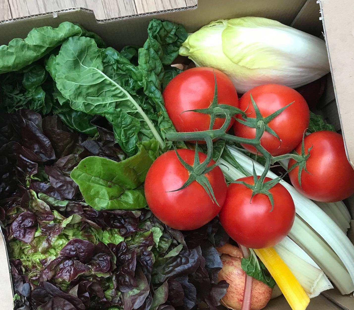 Switching out our single-use plastic