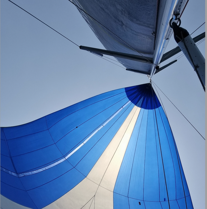 🇬🇧 Help us save 200 spinnakers from landfill this winter!